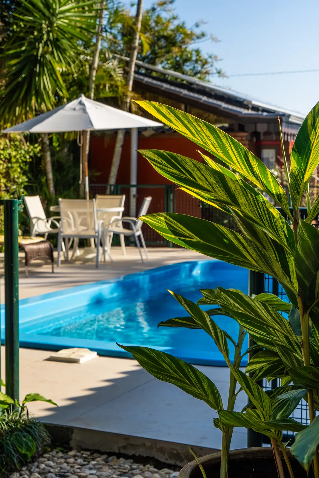 Piscina em meio à mata nativa